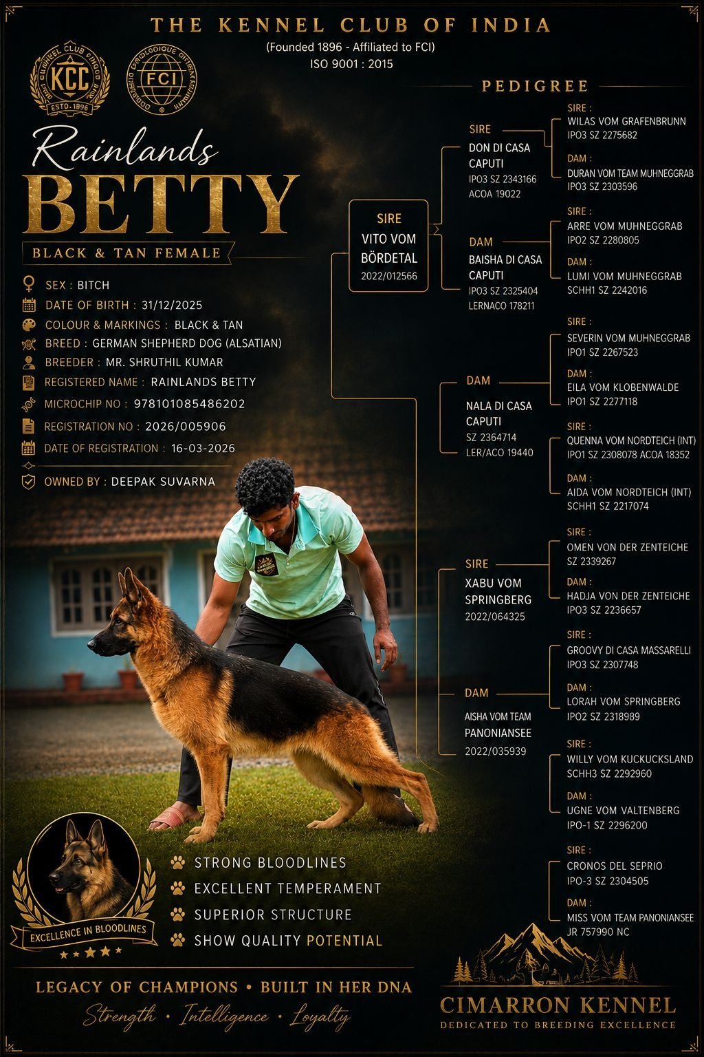 Rainlands Betty — Cimarron Kennel's German Shepherd dam, pedigree certificate